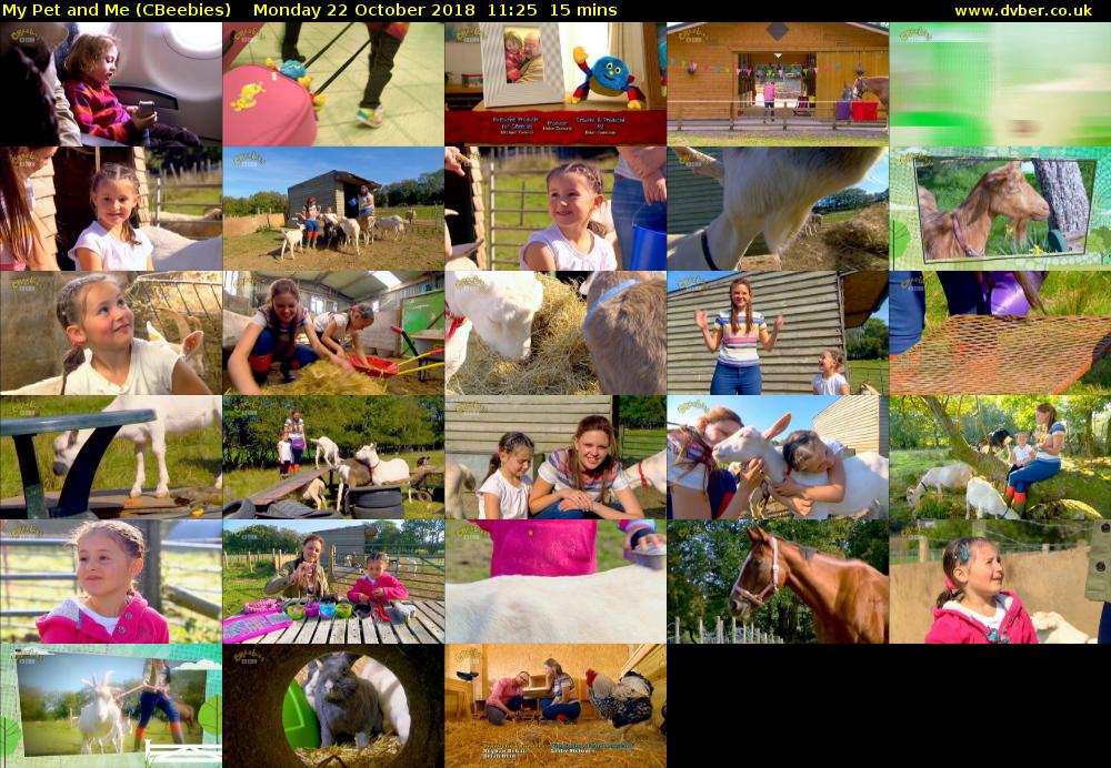 My Pet and Me (CBeebies) Monday 22 October 2018 11:25 - 11:40