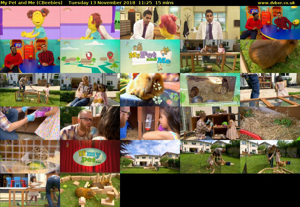 My Pet and Me (CBeebies) Tuesday 13 November 2018 11:25 - 11:40