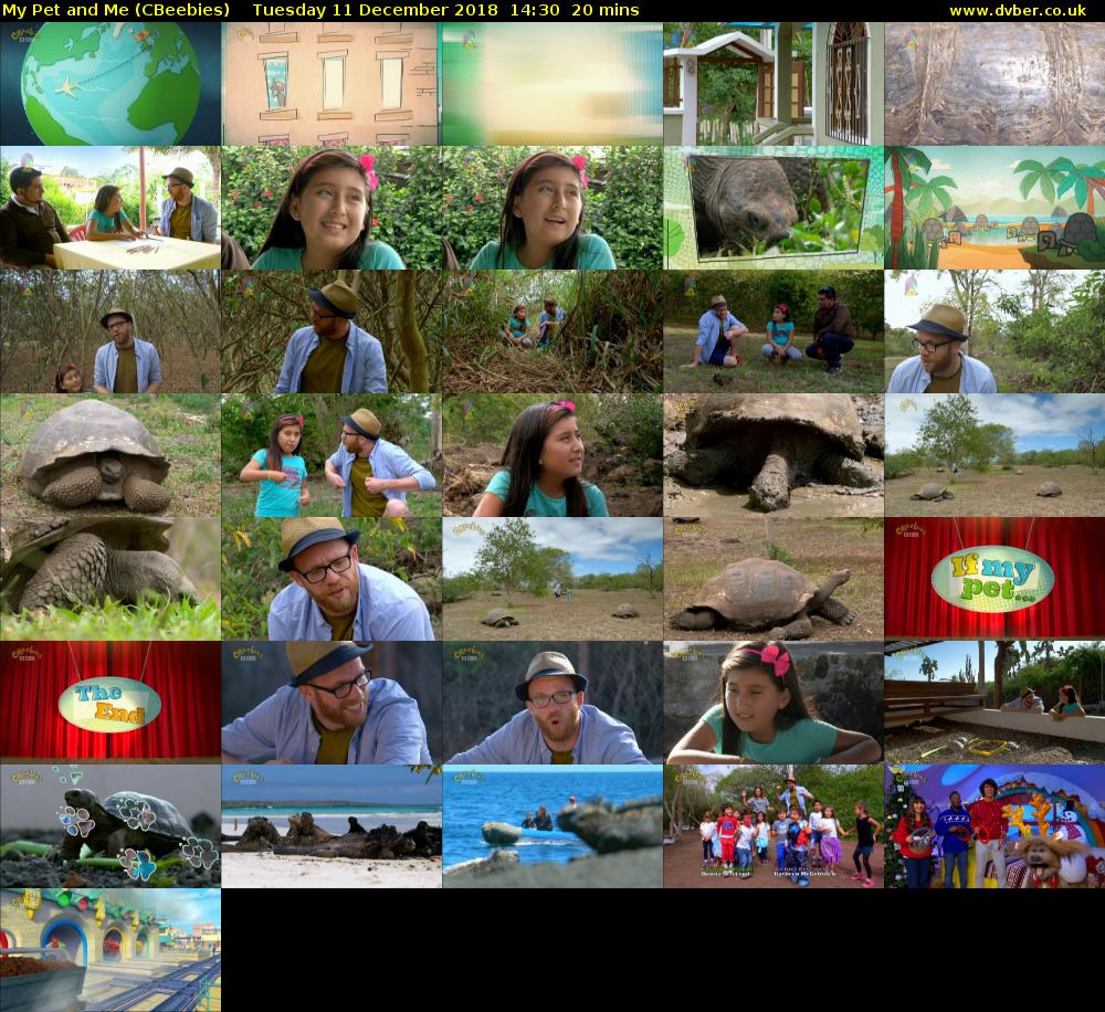 My Pet and Me (CBeebies) Tuesday 11 December 2018 14:30 - 14:50