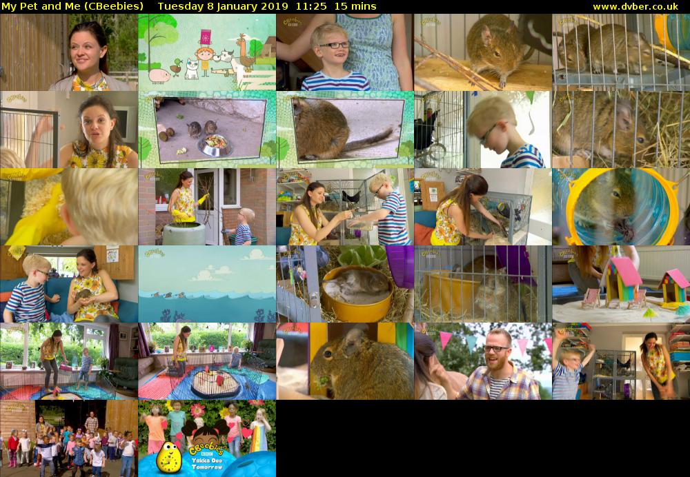 My Pet and Me (CBeebies) Tuesday 8 January 2019 11:25 - 11:40
