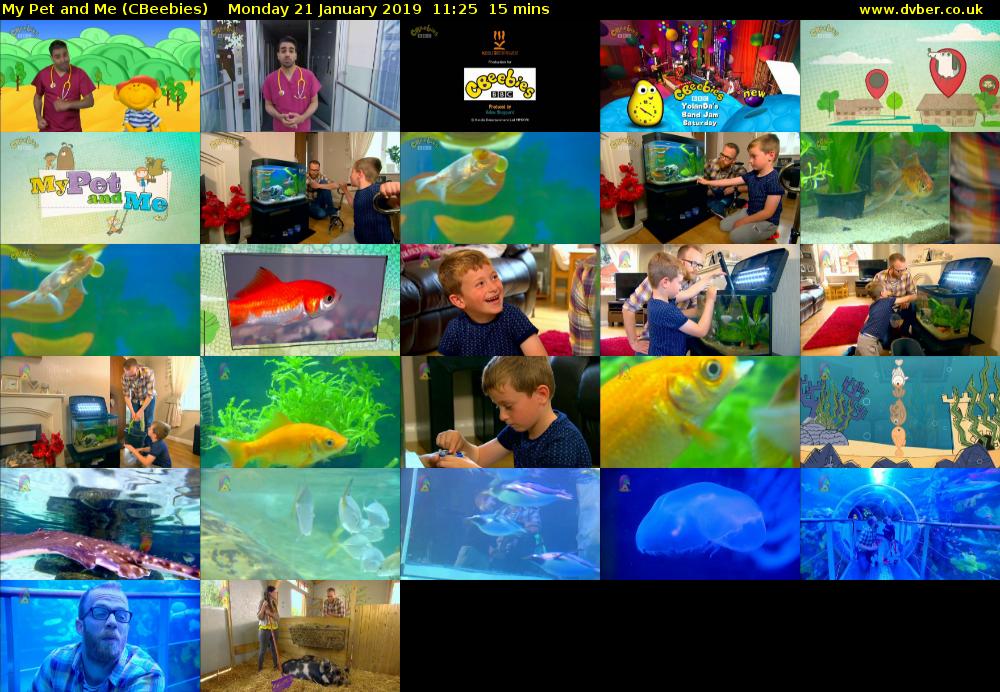 My Pet and Me (CBeebies) Monday 21 January 2019 11:25 - 11:40