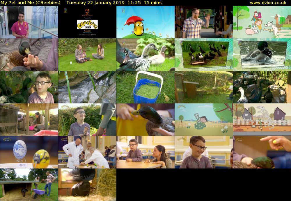 My Pet and Me (CBeebies) Tuesday 22 January 2019 11:25 - 11:40