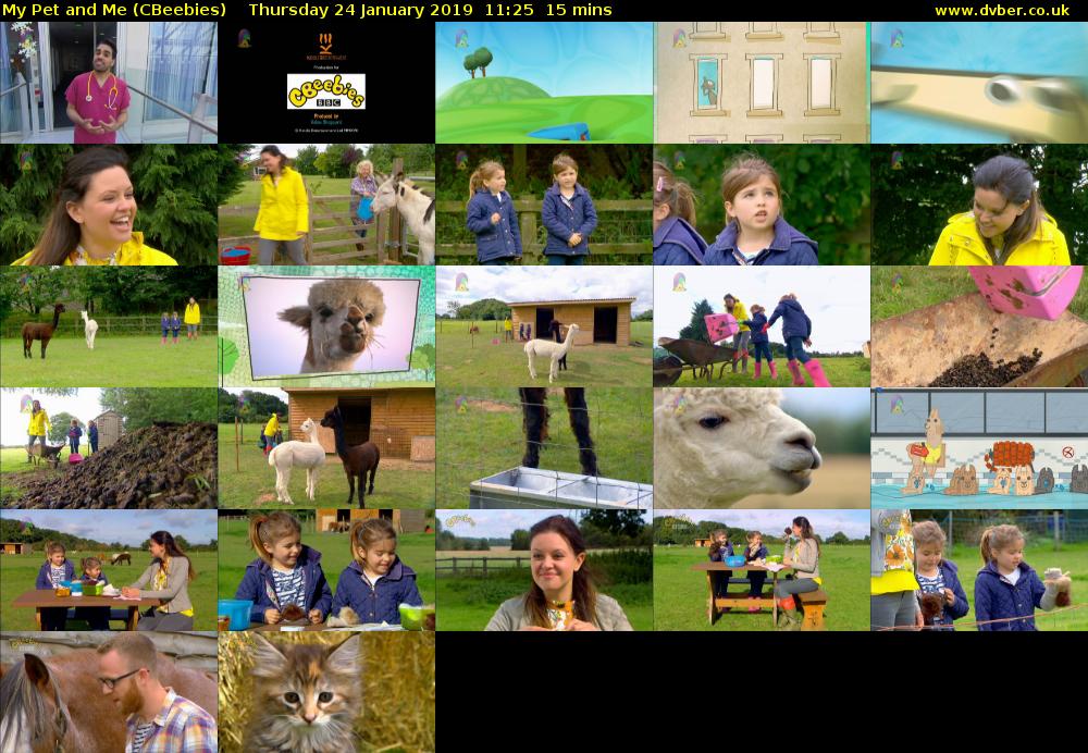 My Pet and Me (CBeebies) Thursday 24 January 2019 11:25 - 11:40