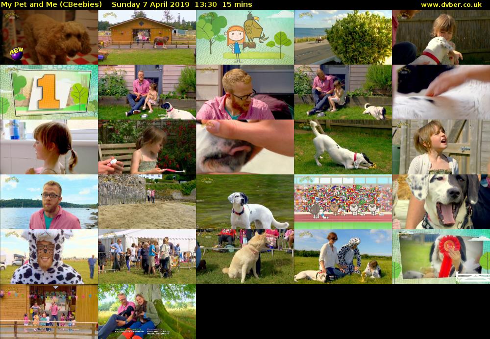My Pet and Me (CBeebies) Sunday 7 April 2019 13:30 - 13:45