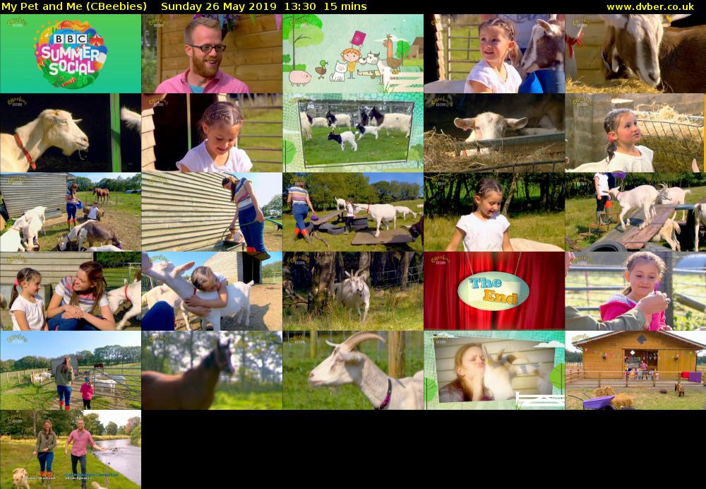 My Pet and Me (CBeebies) Sunday 26 May 2019 13:30 - 13:45