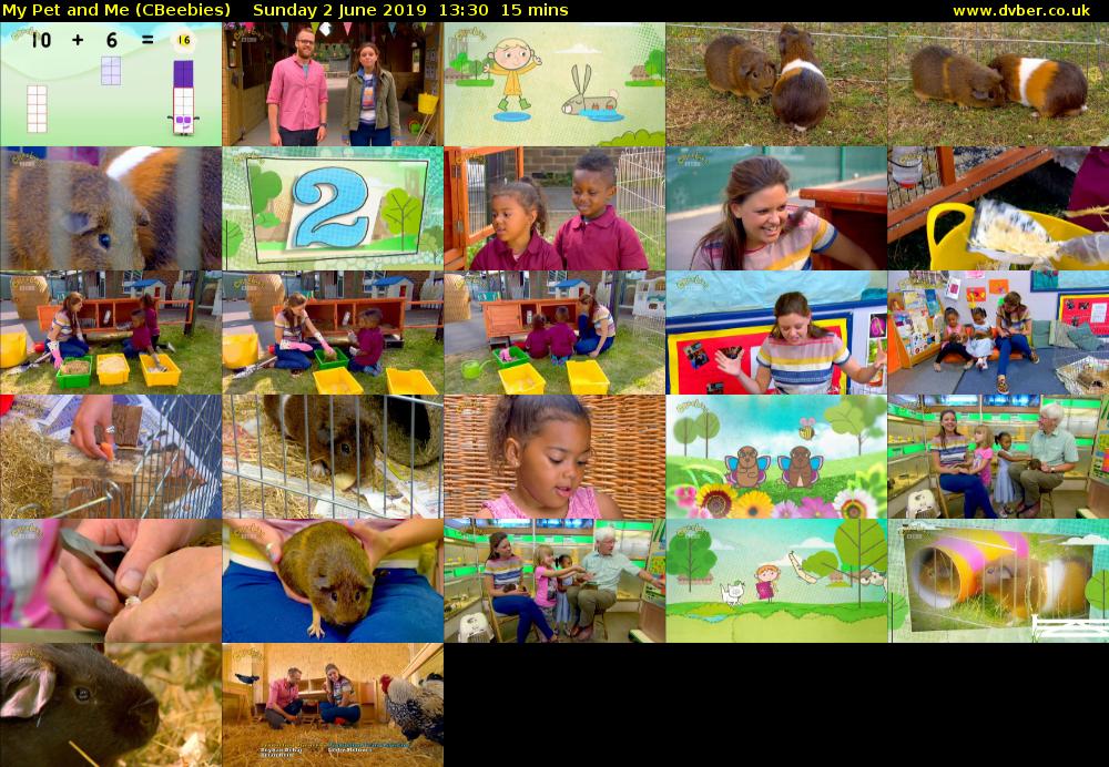 My Pet and Me (CBeebies) Sunday 2 June 2019 13:30 - 13:45