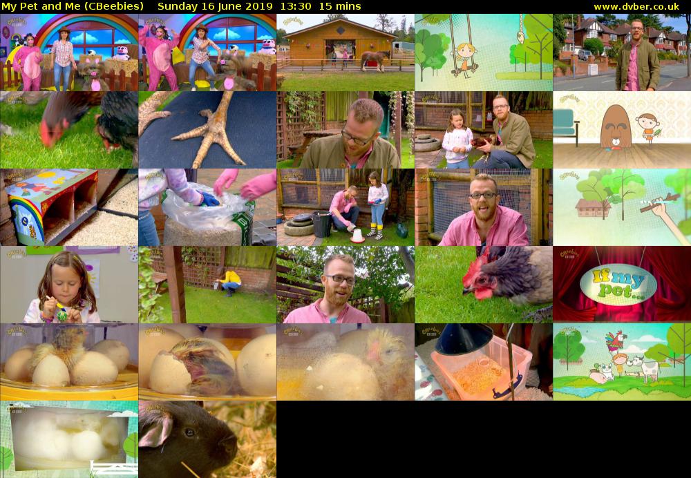 My Pet and Me (CBeebies) Sunday 16 June 2019 13:30 - 13:45