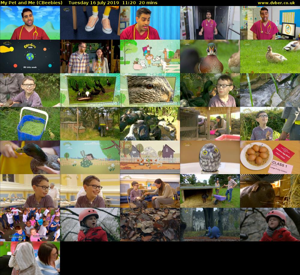 My Pet and Me (CBeebies) Tuesday 16 July 2019 11:20 - 11:40