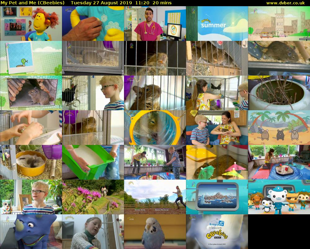 My Pet and Me (CBeebies) Tuesday 27 August 2019 11:20 - 11:40