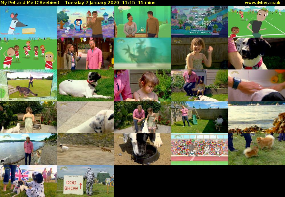 My Pet and Me (CBeebies) Tuesday 7 January 2020 11:15 - 11:30