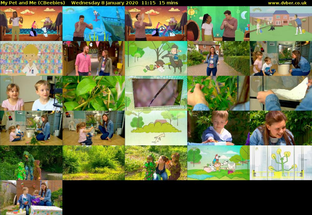My Pet and Me (CBeebies) Wednesday 8 January 2020 11:15 - 11:30