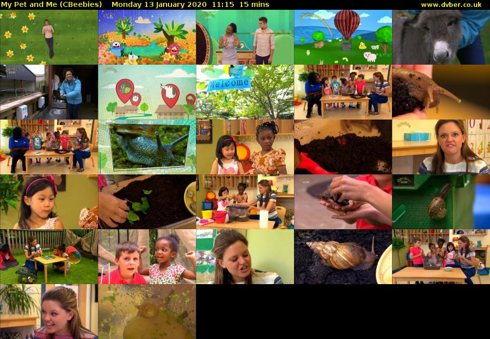 My Pet and Me (CBeebies) Monday 13 January 2020 11:15 - 11:30
