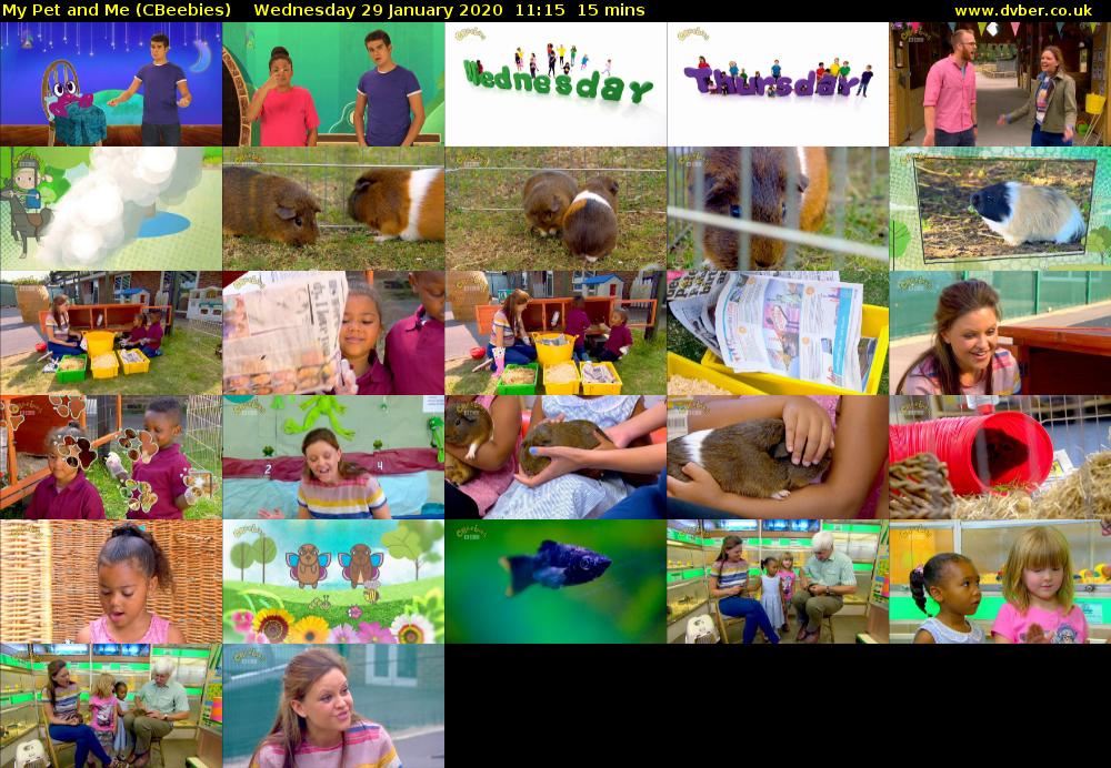 My Pet and Me (CBeebies) Wednesday 29 January 2020 11:15 - 11:30