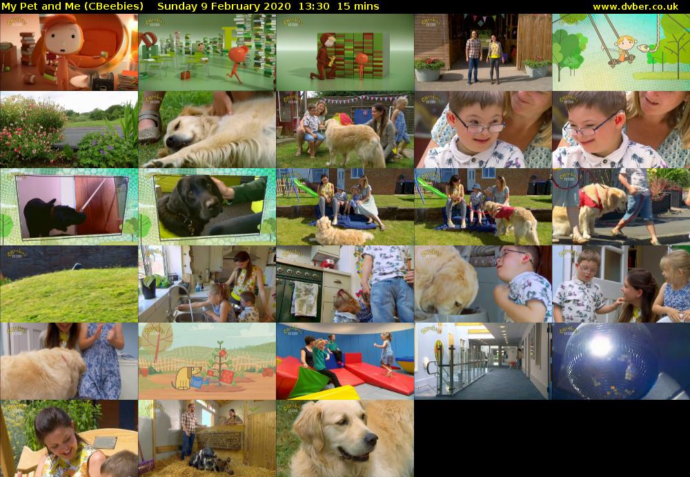 My Pet and Me (CBeebies) Sunday 9 February 2020 13:30 - 13:45