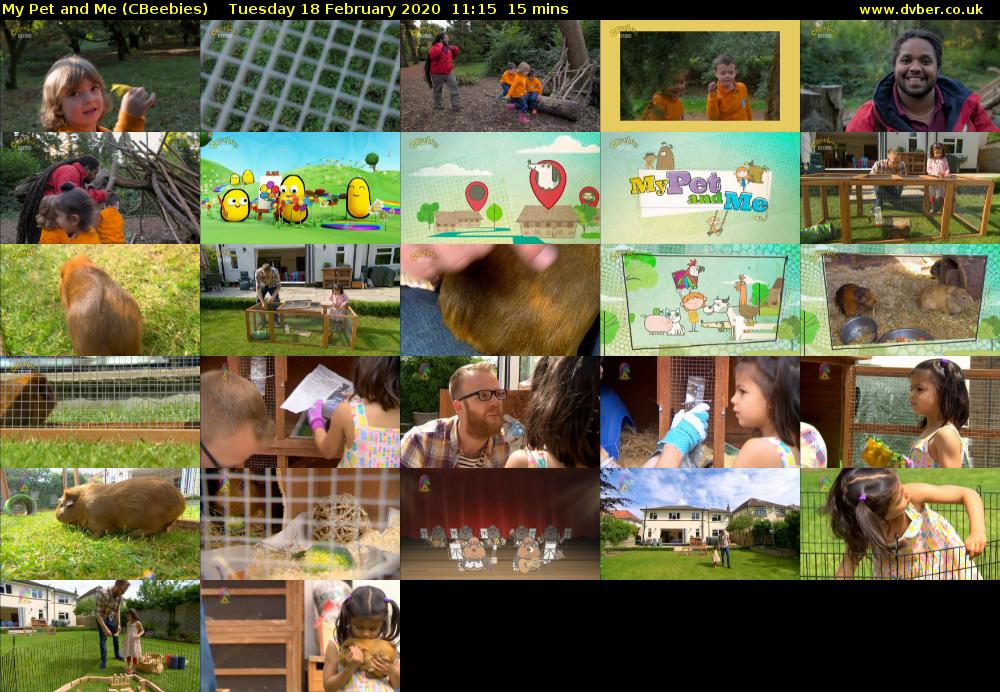My Pet and Me (CBeebies) Tuesday 18 February 2020 11:15 - 11:30