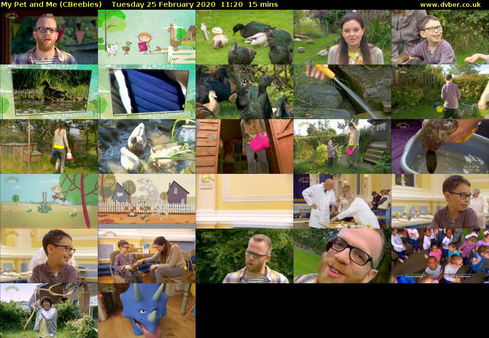 My Pet and Me (CBeebies) Tuesday 25 February 2020 11:20 - 11:35
