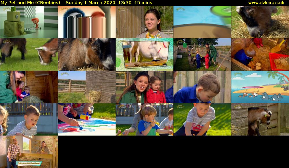 My Pet and Me (CBeebies) Sunday 1 March 2020 13:30 - 13:45