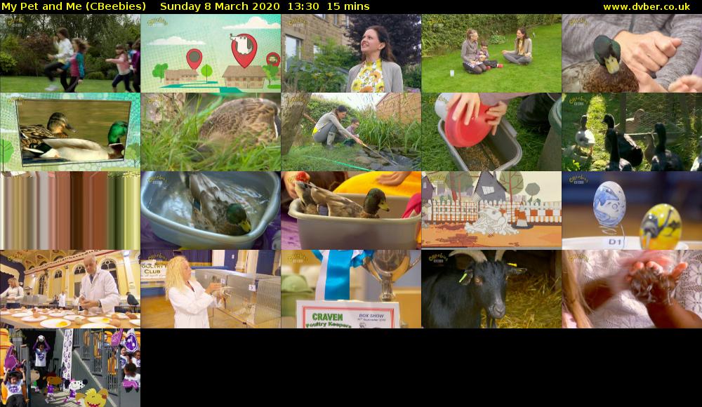 My Pet and Me (CBeebies) Sunday 8 March 2020 13:30 - 13:45