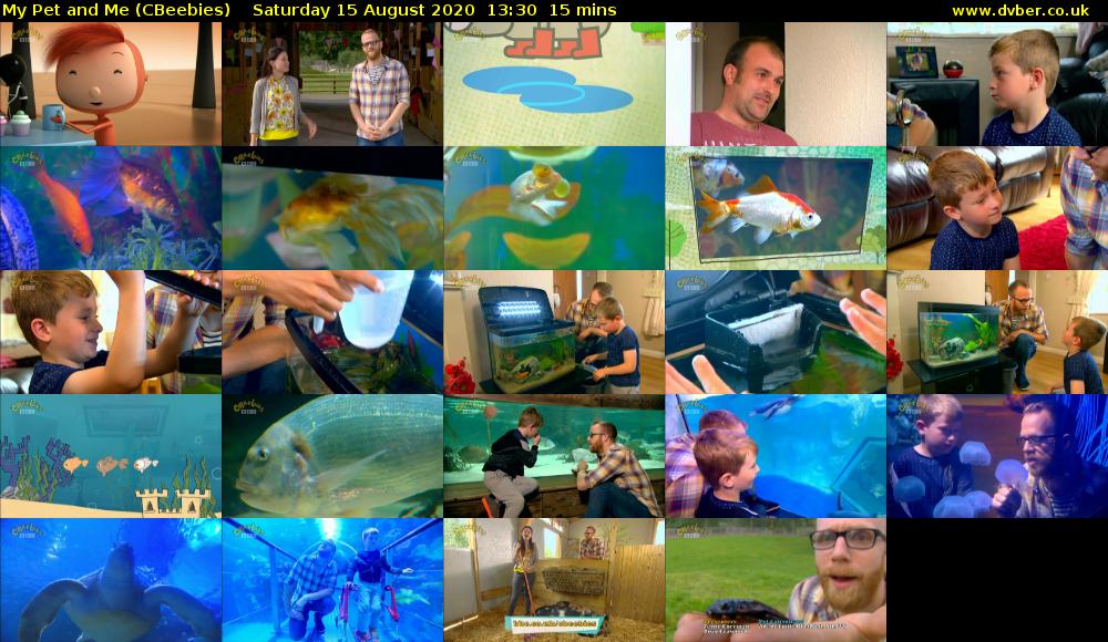 My Pet and Me (CBeebies) Saturday 15 August 2020 13:30 - 13:45