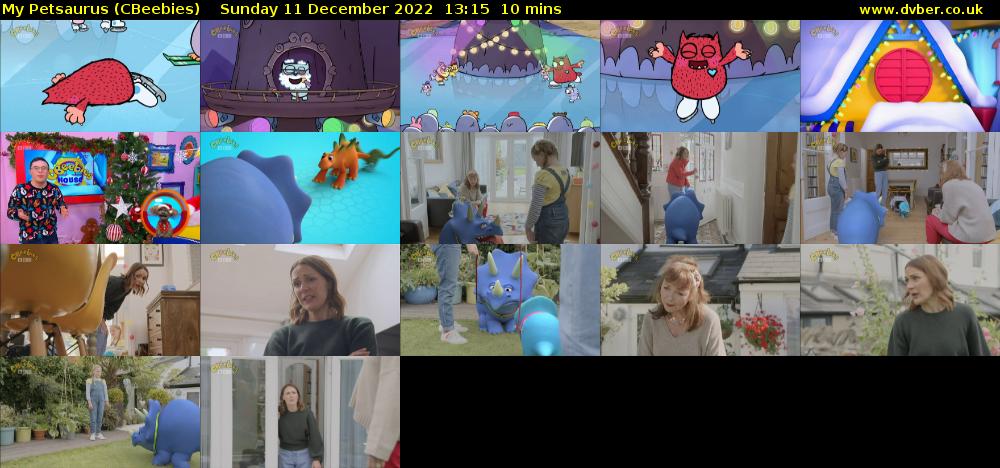 My Petsaurus (CBeebies) Sunday 11 December 2022 13:15 - 13:25