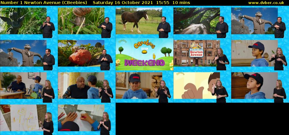 Number 1 Newton Avenue (CBeebies) Saturday 16 October 2021 15:55 - 16:05