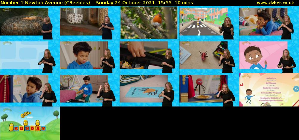 Number 1 Newton Avenue (CBeebies) Sunday 24 October 2021 15:55 - 16:05