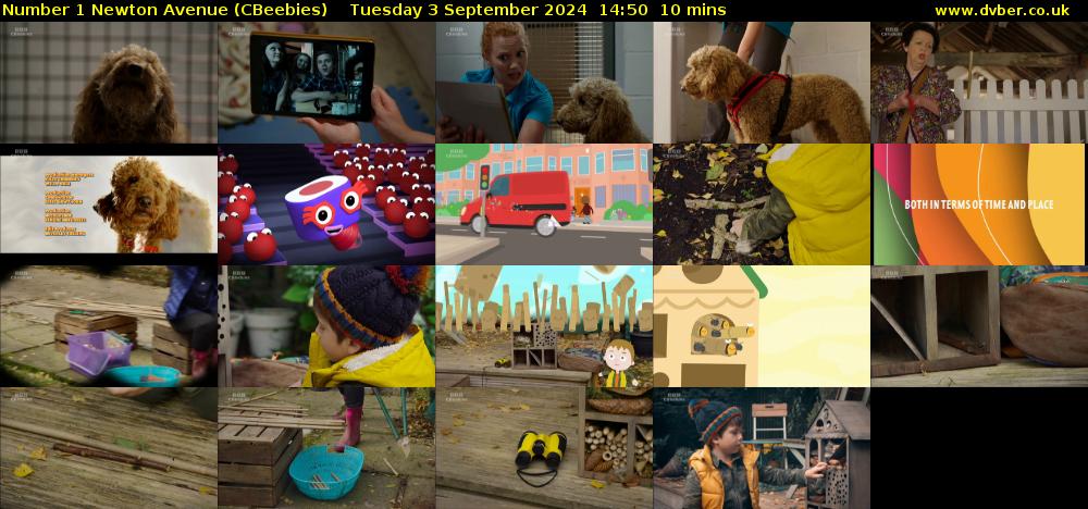 Number 1 Newton Avenue (CBeebies) Tuesday 3 September 2024 14:50 - 15:00
