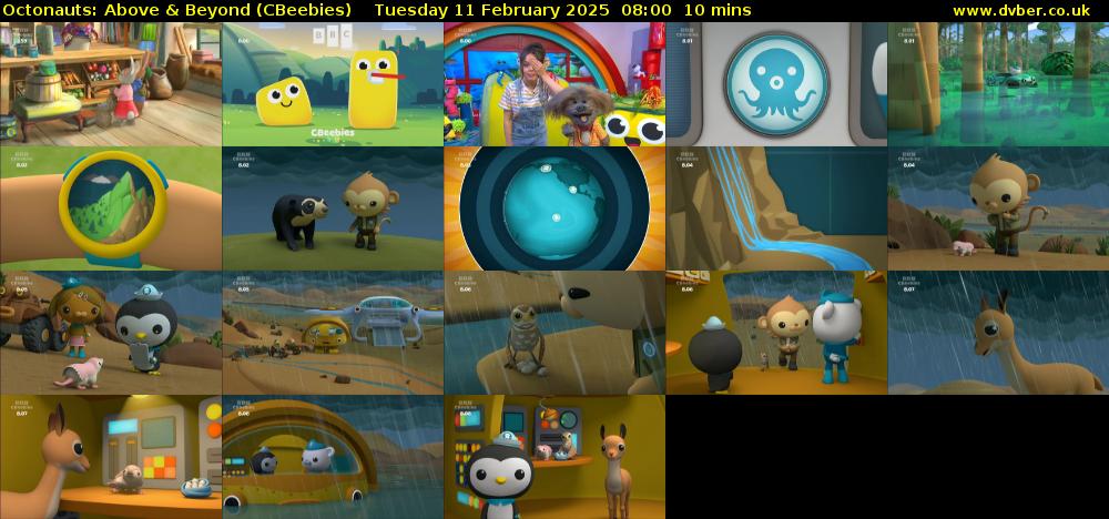Octonauts: Above & Beyond (CBeebies) Tuesday 11 February 2025 08:00 - 08:10