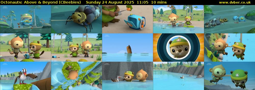 Octonauts: Above & Beyond (CBeebies) Sunday 24 August 2025 11:05 - 11:15