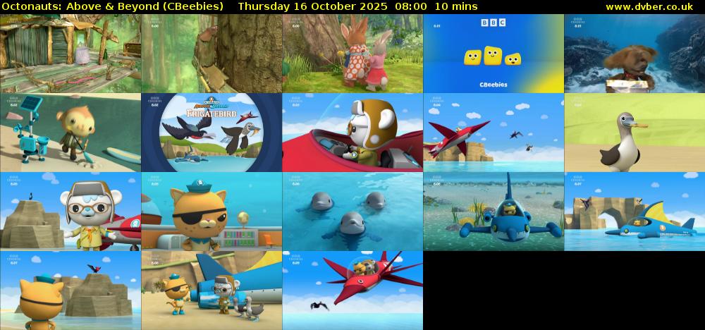 Octonauts: Above & Beyond (CBeebies) Thursday 16 October 2025 08:00 - 08:10
