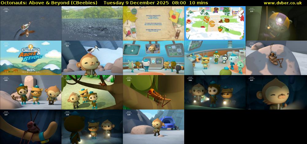 Octonauts: Above & Beyond (CBeebies) Tuesday 9 December 2025 08:00 - 08:10