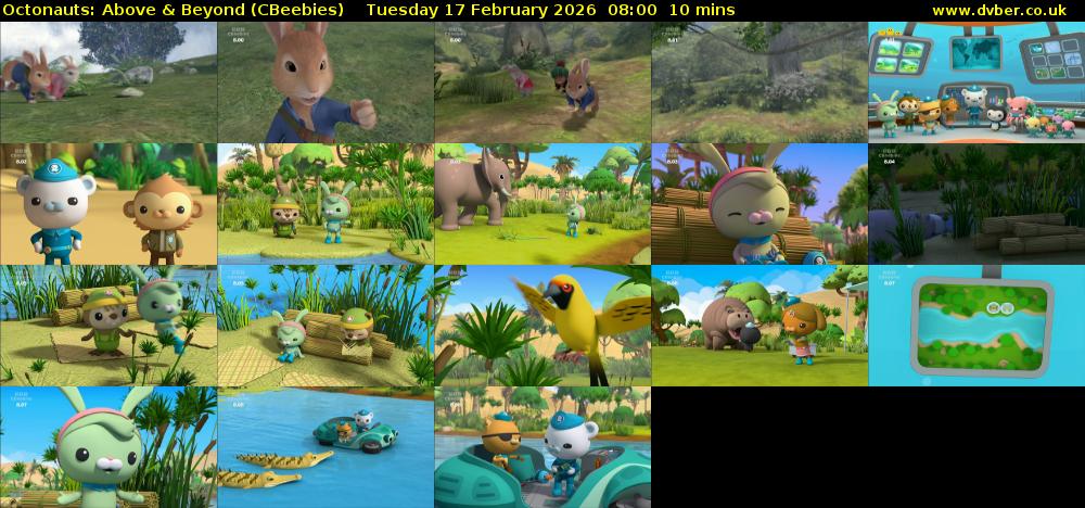 Octonauts: Above & Beyond (CBeebies) Tuesday 17 February 2026 08:00 - 08:10