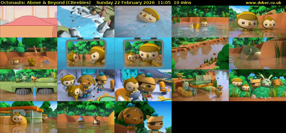 Octonauts: Above & Beyond (CBeebies) Sunday 22 February 2026 11:05 - 11:15