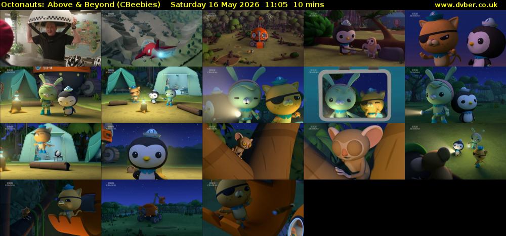 Octonauts: Above & Beyond (CBeebies) Saturday 16 May 2026 11:05 - 11:15