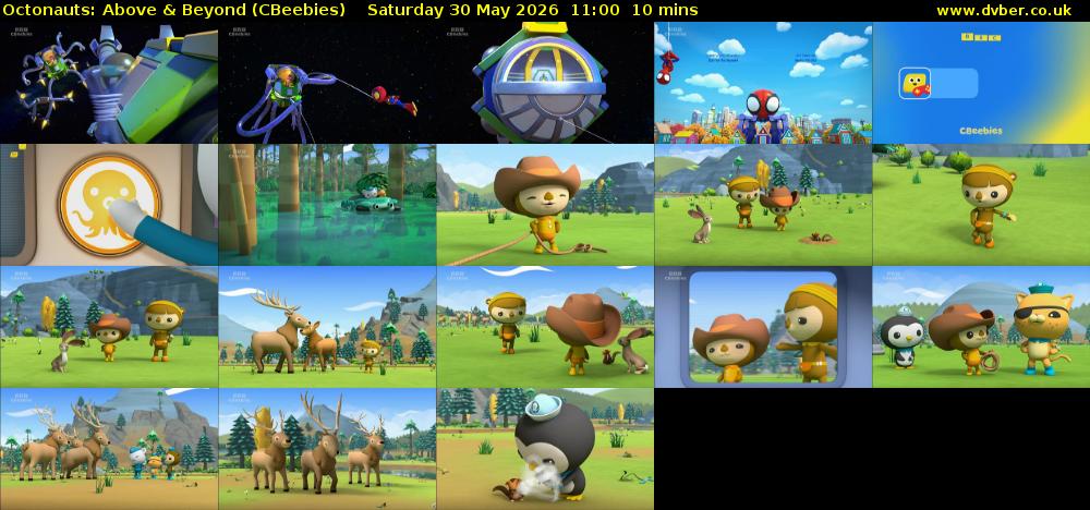 Octonauts: Above & Beyond (CBeebies) Saturday 30 May 2026 11:00 - 11:10