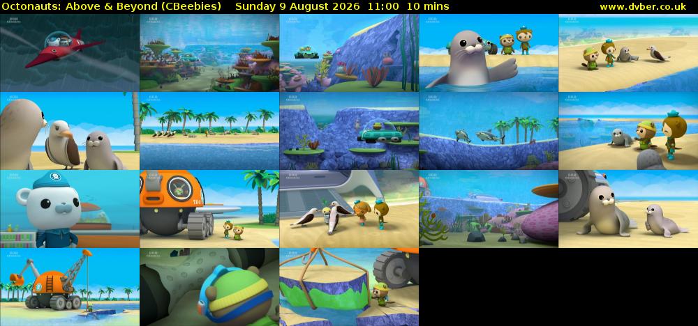 Octonauts: Above & Beyond (CBeebies) Sunday 9 August 2026 11:00 - 11:10