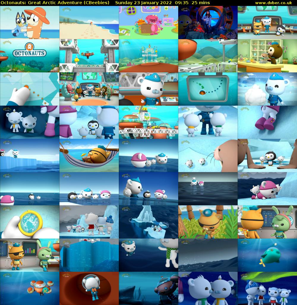 Octonauts: Great Arctic Adventure (CBeebies) Sunday 23 January 2022 09:35 - 10:00