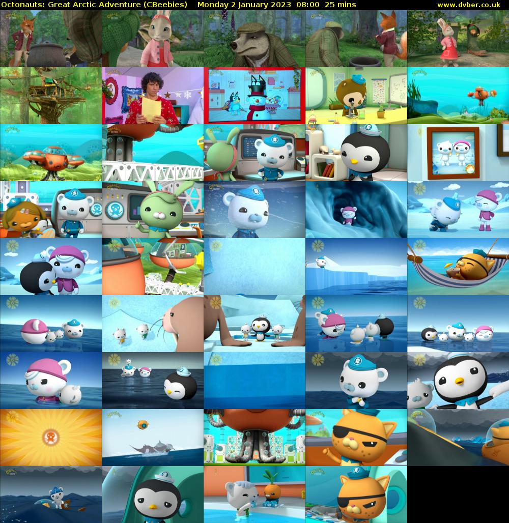Octonauts: Great Arctic Adventure (CBeebies) Monday 2 January 2023 08:00 - 08:25