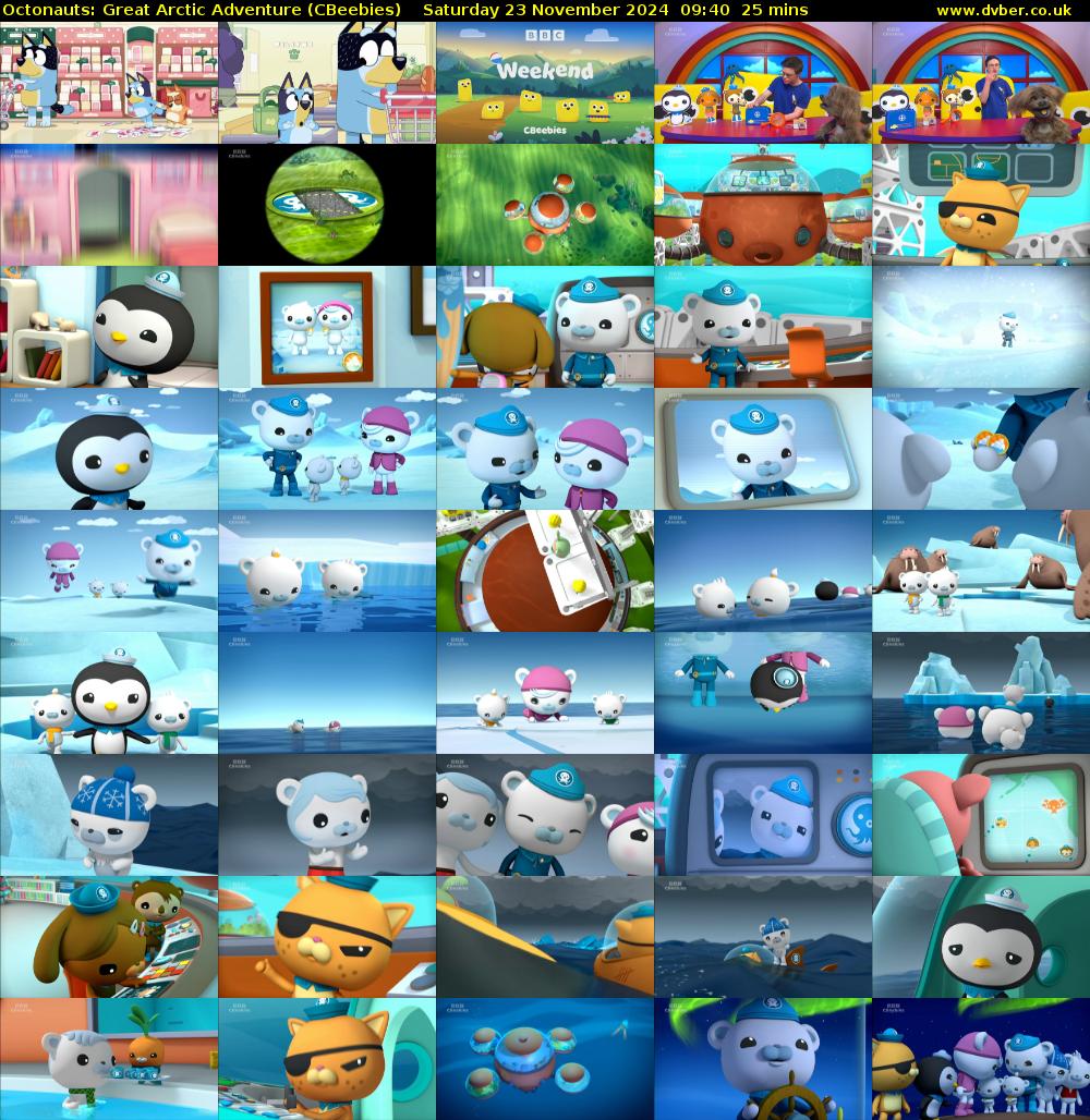 Octonauts: Great Arctic Adventure (CBeebies) Saturday 23 November 2024 09:40 - 10:05