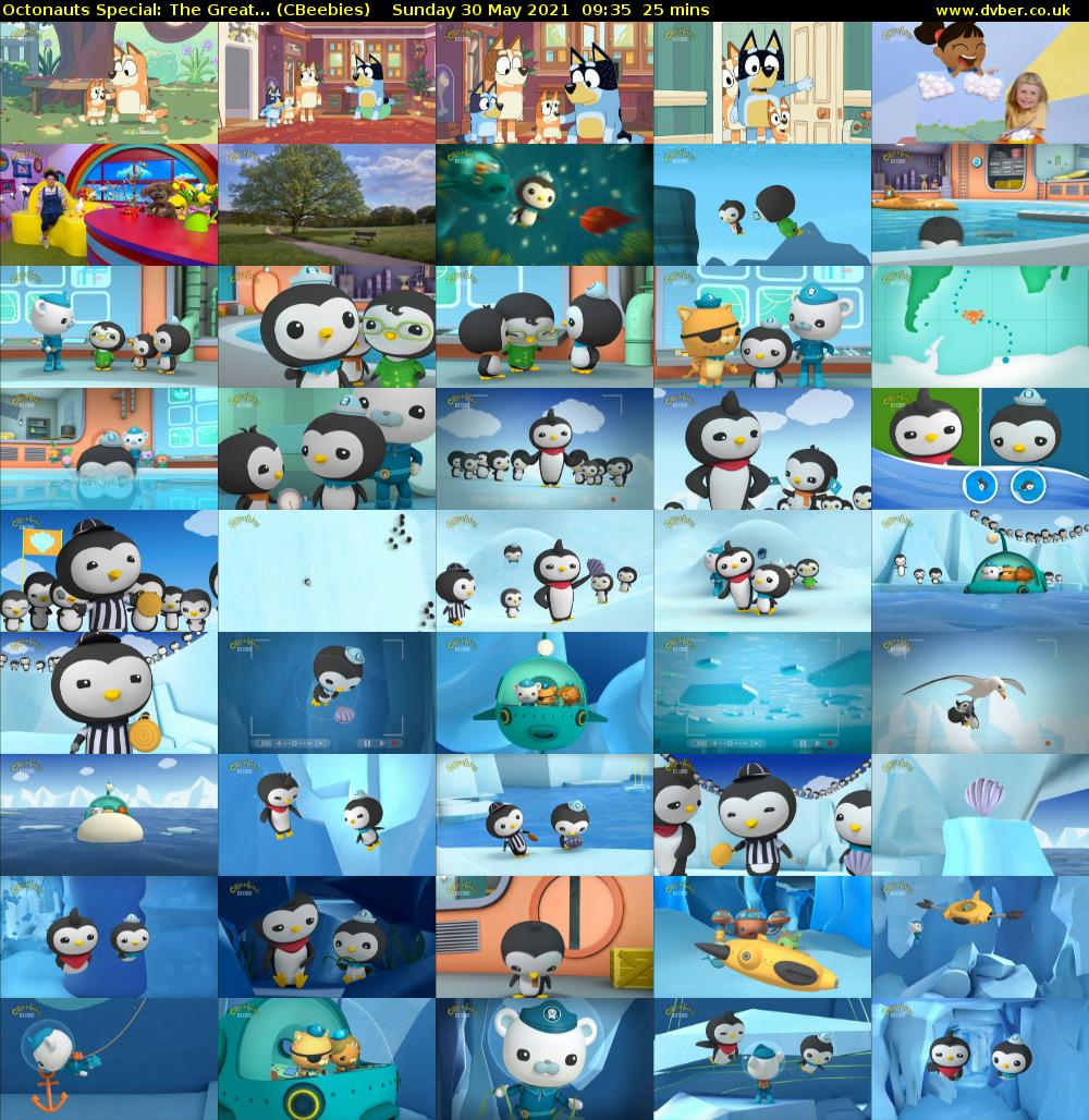 Octonauts Special: The Great... (CBeebies) Sunday 30 May 2021 09:35 - 10:00
