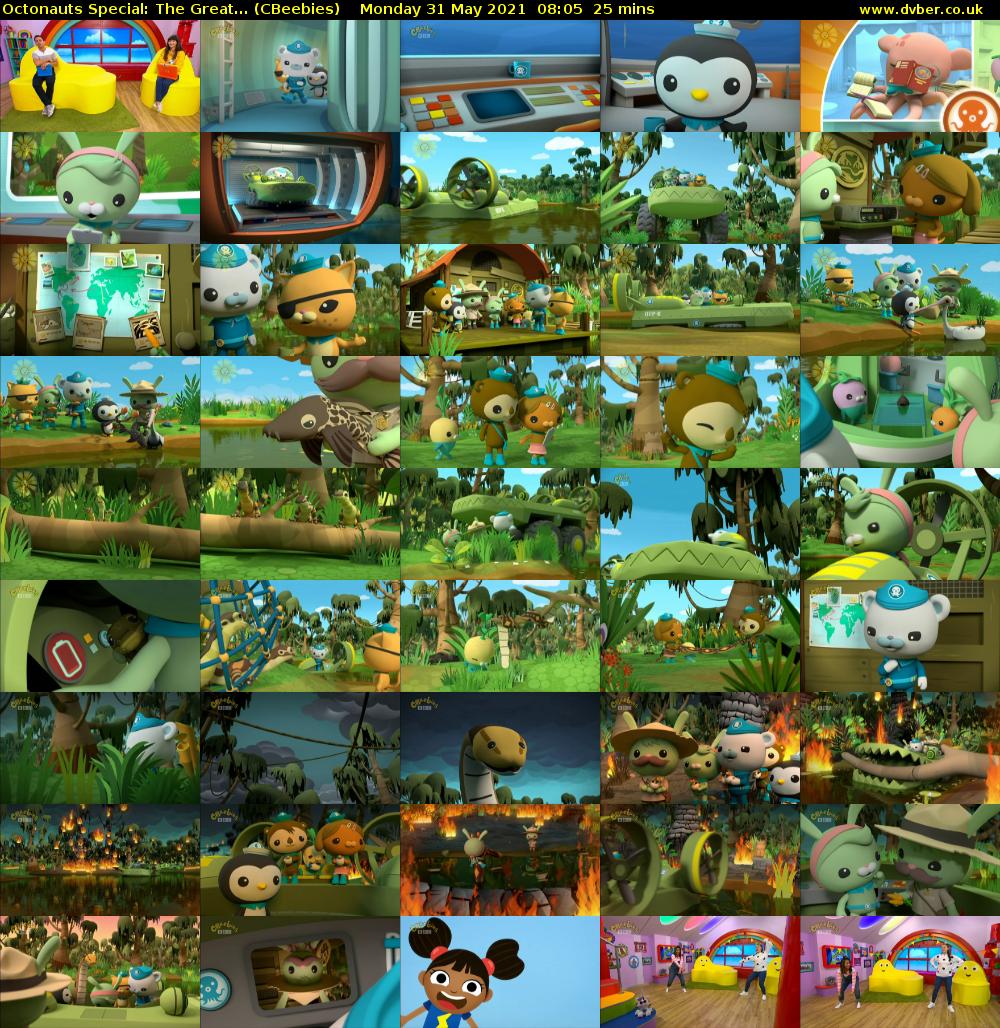 Octonauts Special: The Great... (CBeebies) Monday 31 May 2021 08:05 - 08:30