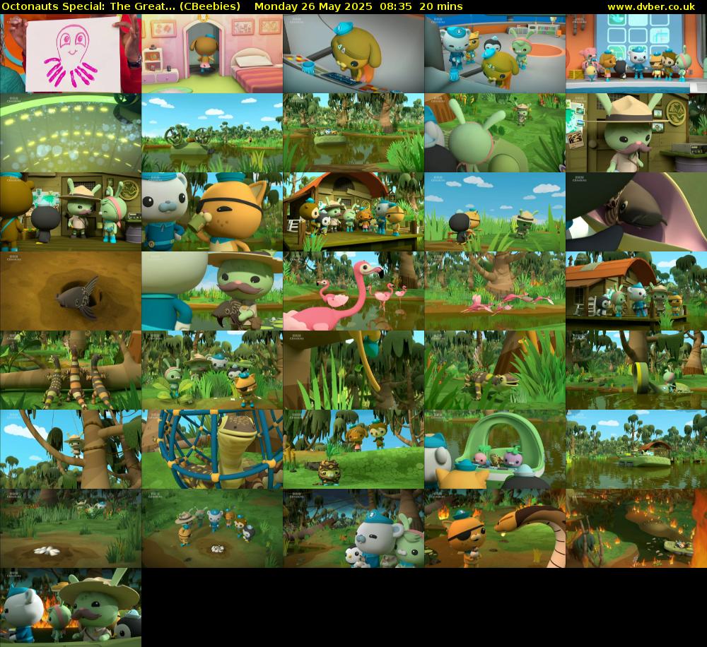 Octonauts Special: The Great... (CBeebies) Monday 26 May 2025 08:35 - 08:55