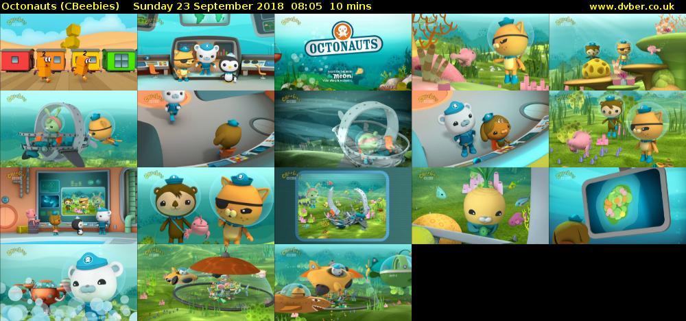 Octonauts (CBeebies) Sunday 23 September 2018 08:05 - 08:15