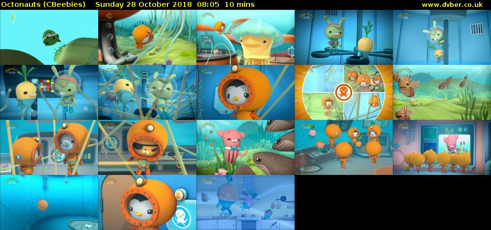 Octonauts (CBeebies) Sunday 28 October 2018 08:05 - 08:15