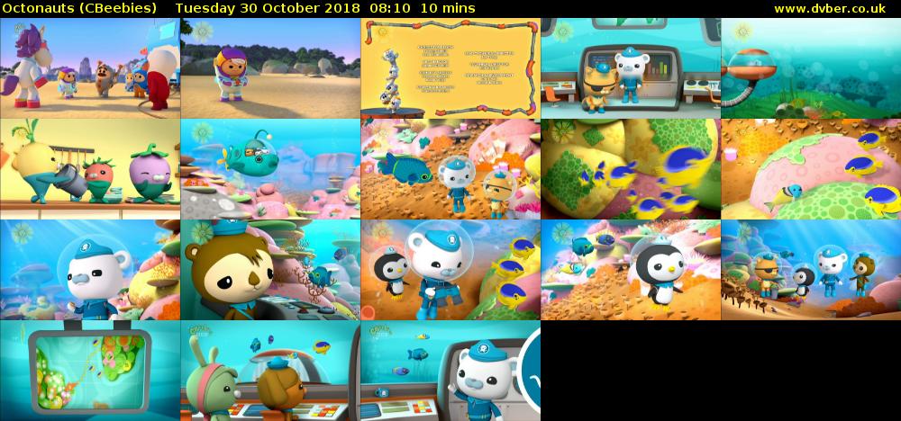 Octonauts (CBeebies) Tuesday 30 October 2018 08:10 - 08:20