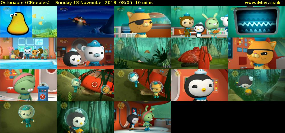 Octonauts (CBeebies) Sunday 18 November 2018 08:05 - 08:15