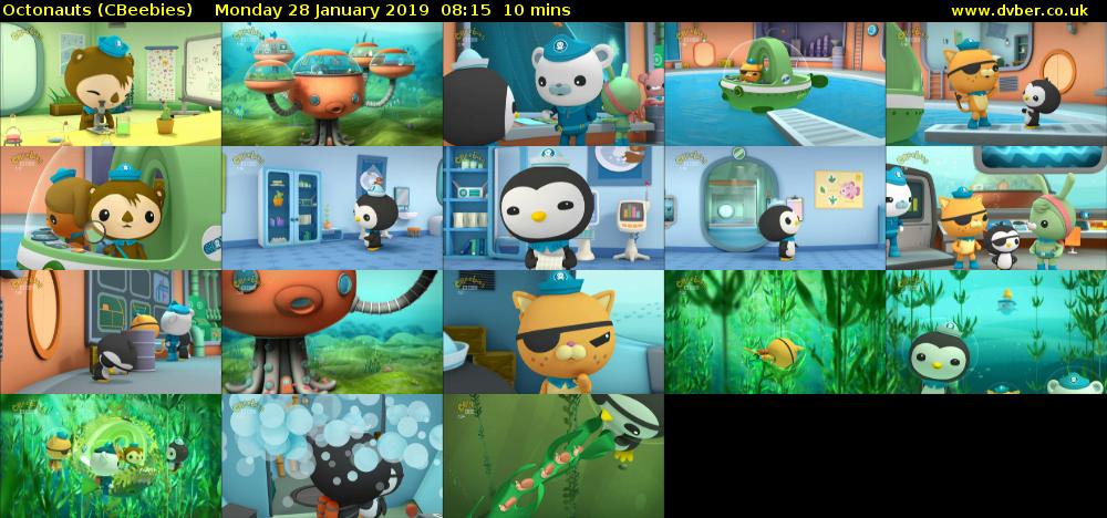 Octonauts (CBeebies) Monday 28 January 2019 08:15 - 08:25