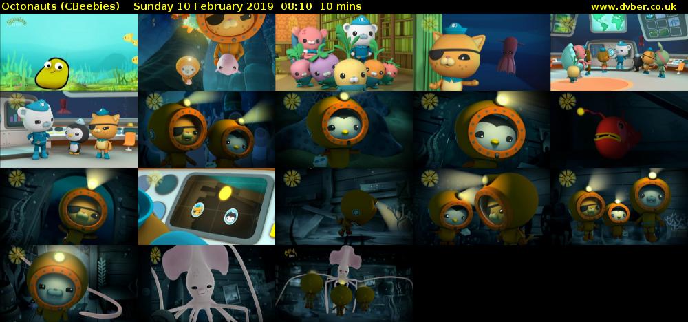 Octonauts (CBeebies) Sunday 10 February 2019 08:10 - 08:20