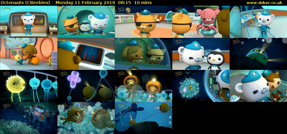 Octonauts (CBeebies) Monday 11 February 2019 08:15 - 08:25