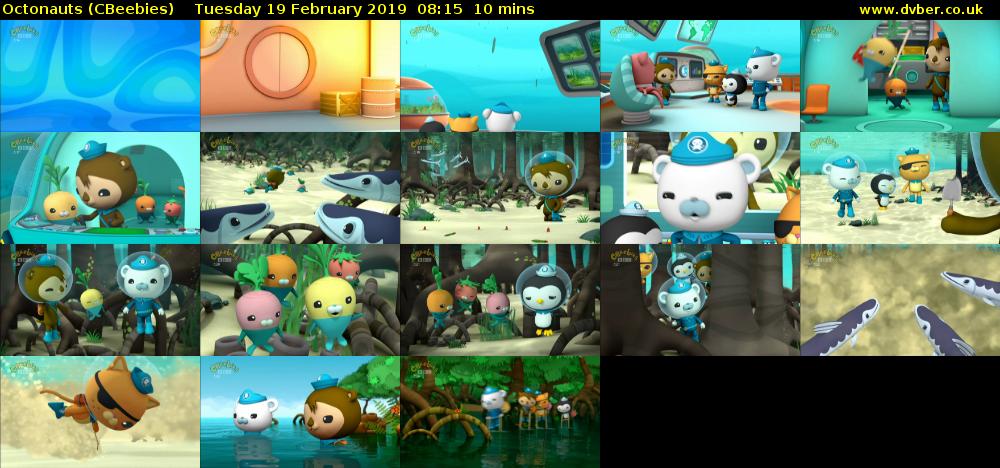 Octonauts (CBeebies) Tuesday 19 February 2019 08:15 - 08:25